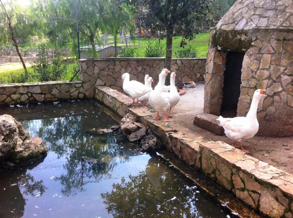 Casale Sombrino Guest House Supersano Ngoại thất bức ảnh